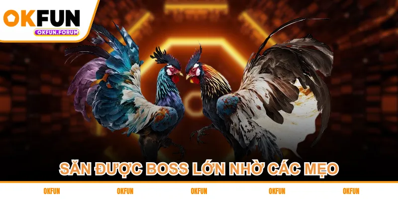 Săn được boss lớn nhờ các mẹo